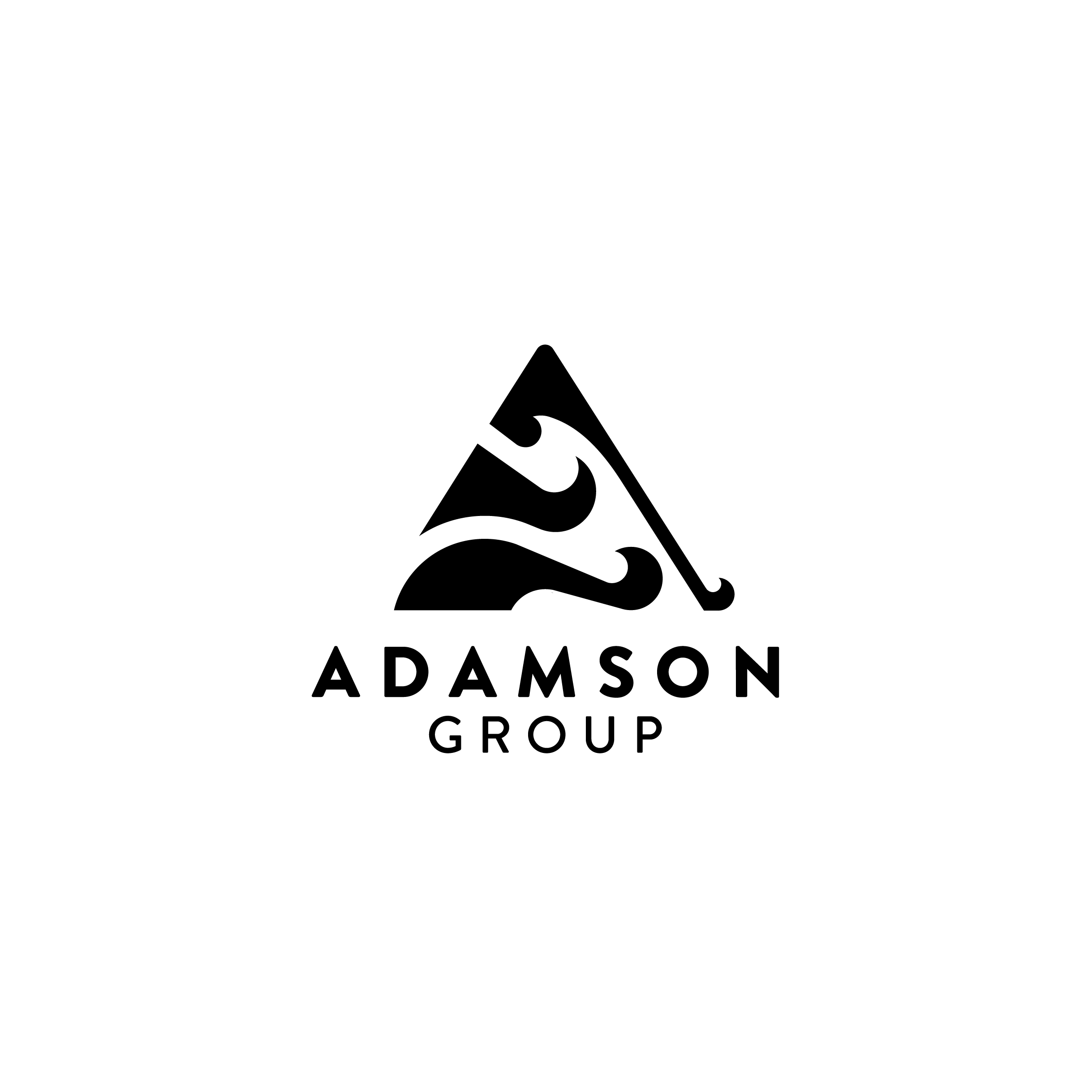 Adamson Group